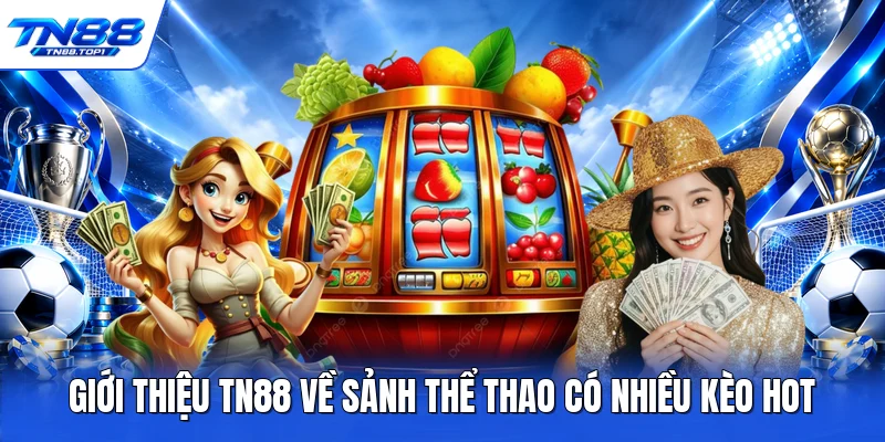 Giới thiệu TN88 về sảnh thể thao có nhiều kèo hot