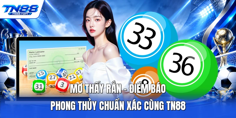 Mơ Thấy Rắn - Điềm Báo Phong Thủy Chuẩn Xác Cùng TN88