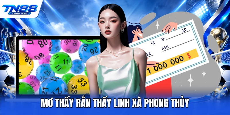 Mơ thấy rắn thấy linh xà phong thủy